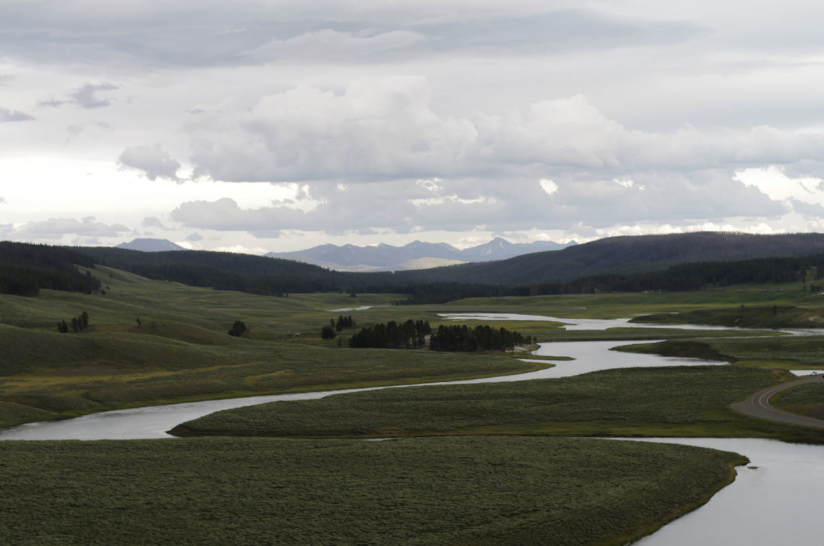 yellowstone photograph